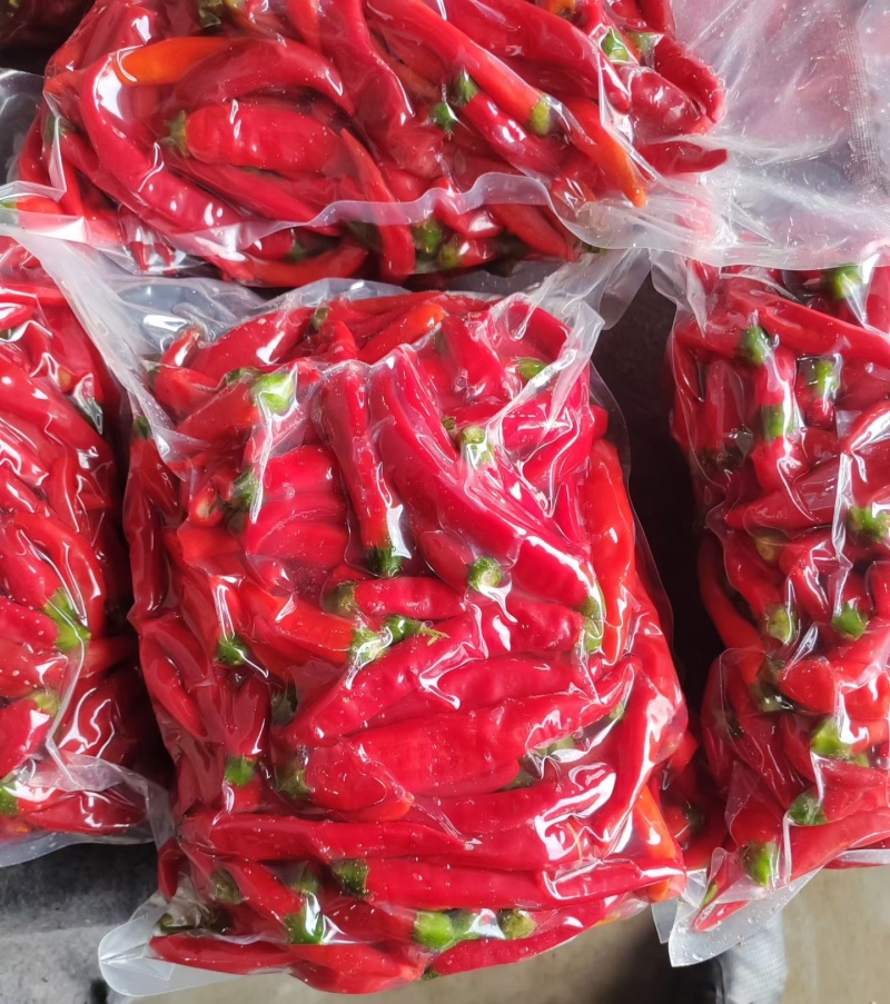 泡辣椒，杭椒，红杭椒，线椒，好产量，好品质，加工厂直供