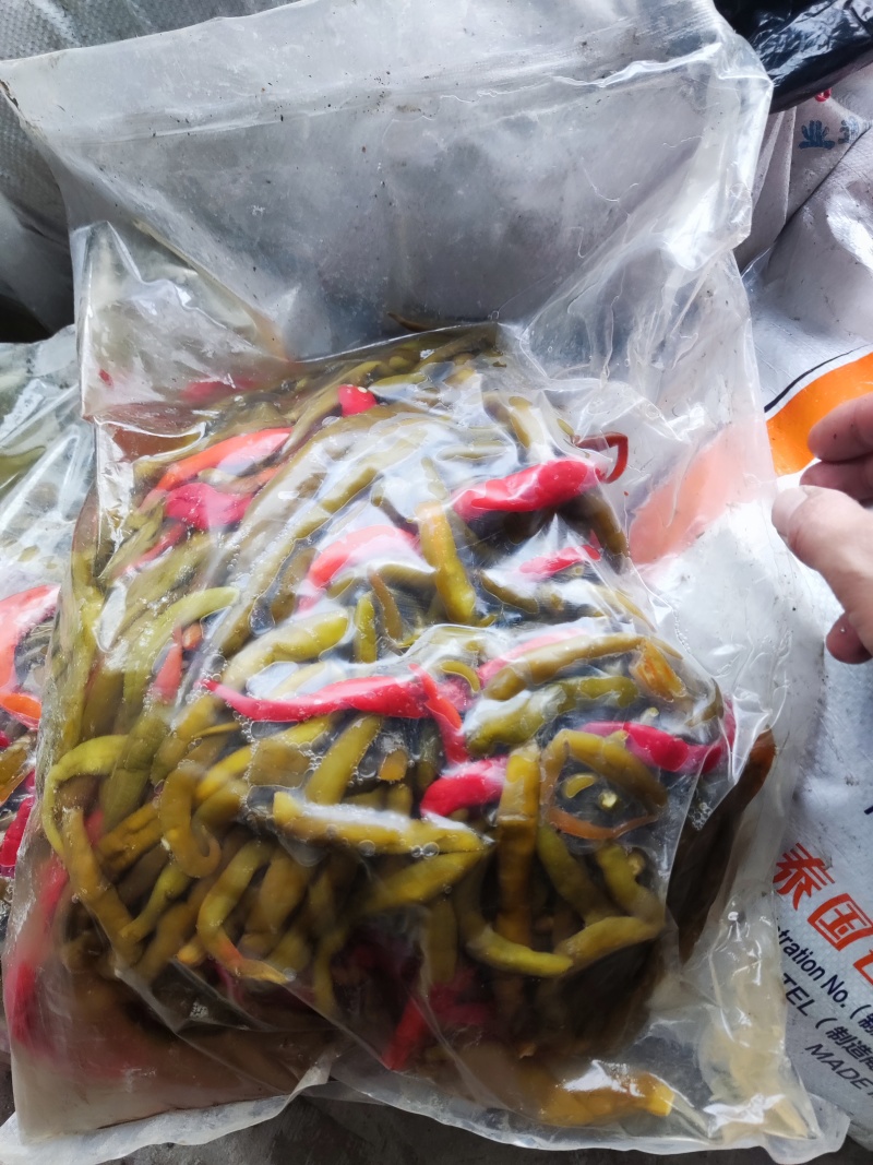 泡辣椒，杭椒，红杭椒，线椒，好产量，好品质，加工厂直供