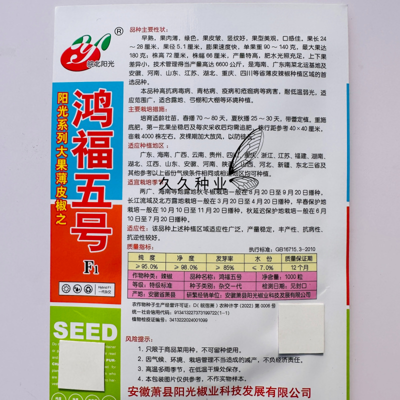 鸿福五号辣椒种子早熟大果薄皮椒味辣翠绿皮泡椒坐果能力强