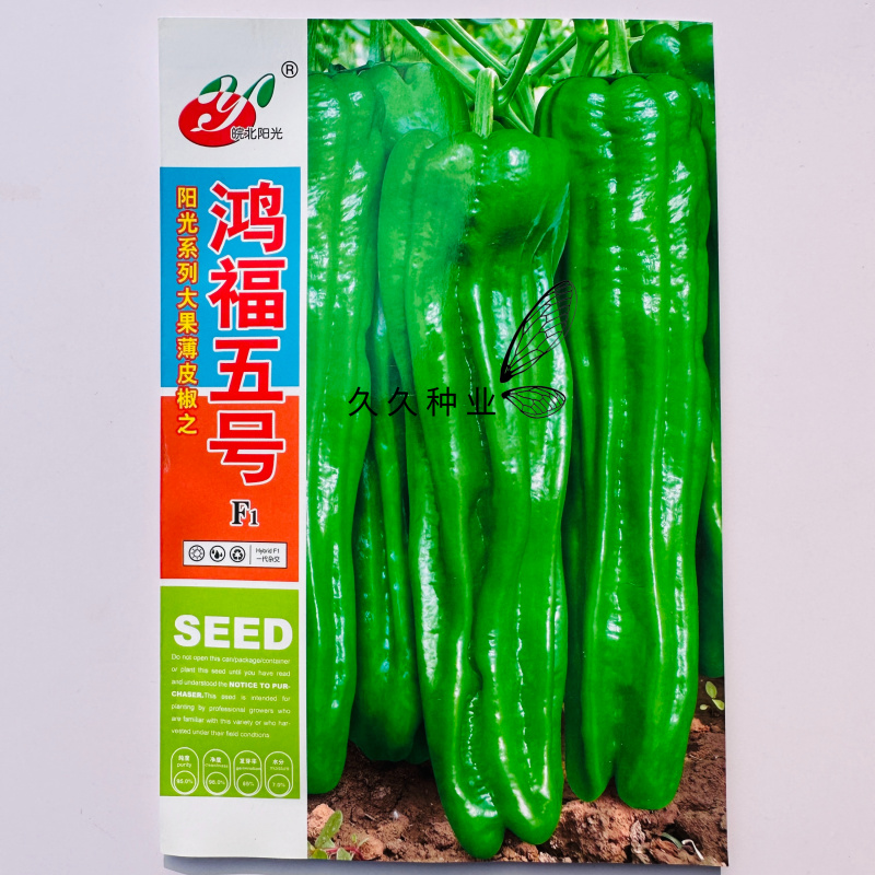 鸿福五号辣椒种子早熟大果薄皮椒味辣翠绿皮泡椒坐果能力强