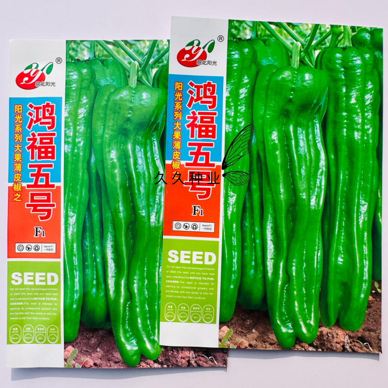 鸿福五号辣椒种子早熟大果薄皮椒味辣翠绿皮泡椒坐果能力强