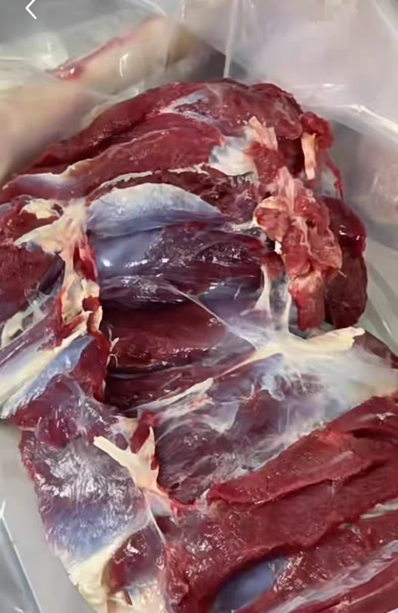 【鹿腿肉】东北现杀梅花鹿腿肉吉林白山临江市大块鹿肉冷链包邮