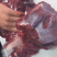 【鹿腿肉】东北现杀梅花鹿腿肉吉林白山临江市大块鹿肉冷链包邮
