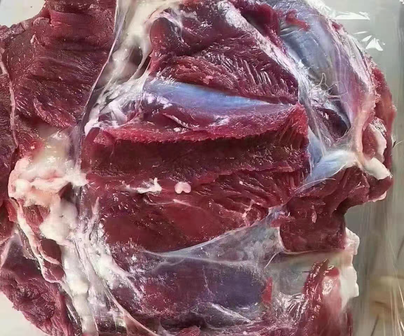 【鹿腿肉】东北现杀梅花鹿腿肉吉林白山临江市大块鹿肉冷链包邮