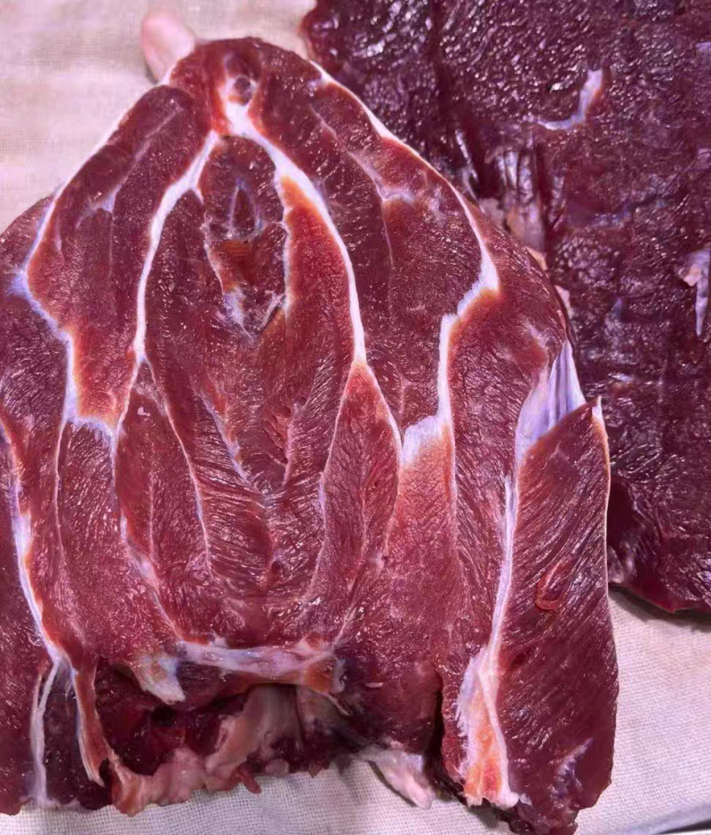 【鹿腿肉】东北现杀梅花鹿腿肉吉林白山临江市大块鹿肉冷链包邮