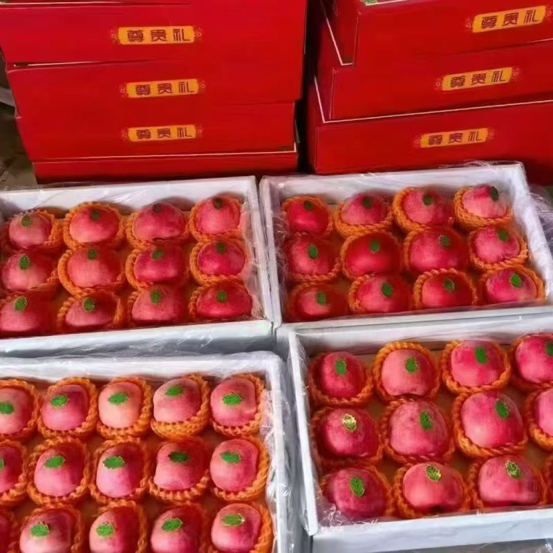 山西吉县红富士苹果，礼盒包装。精选果，高品质，无瑕疵