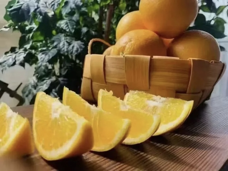 正宗赣南脐橙一件代发