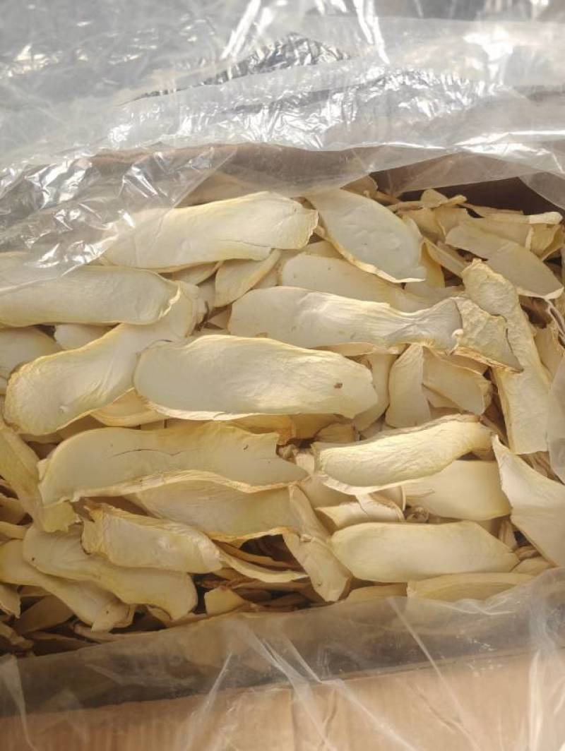 杏鲍菇片根片