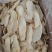 杏鲍菇片根片
