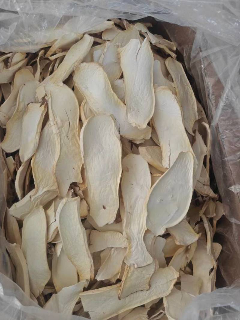 杏鲍菇片根片