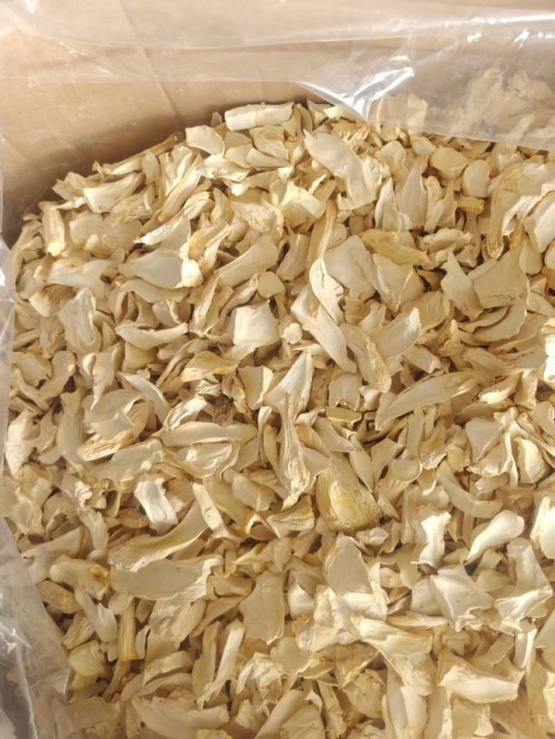 杏鲍菇片根片