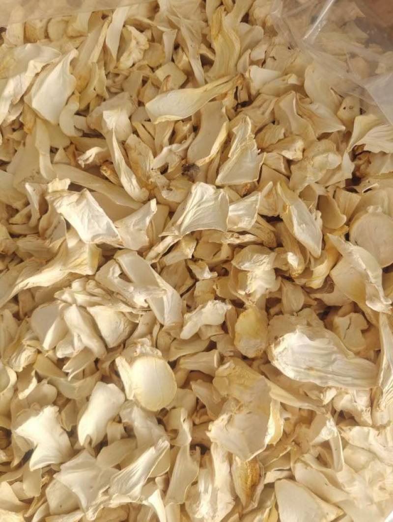 杏鲍菇片根片