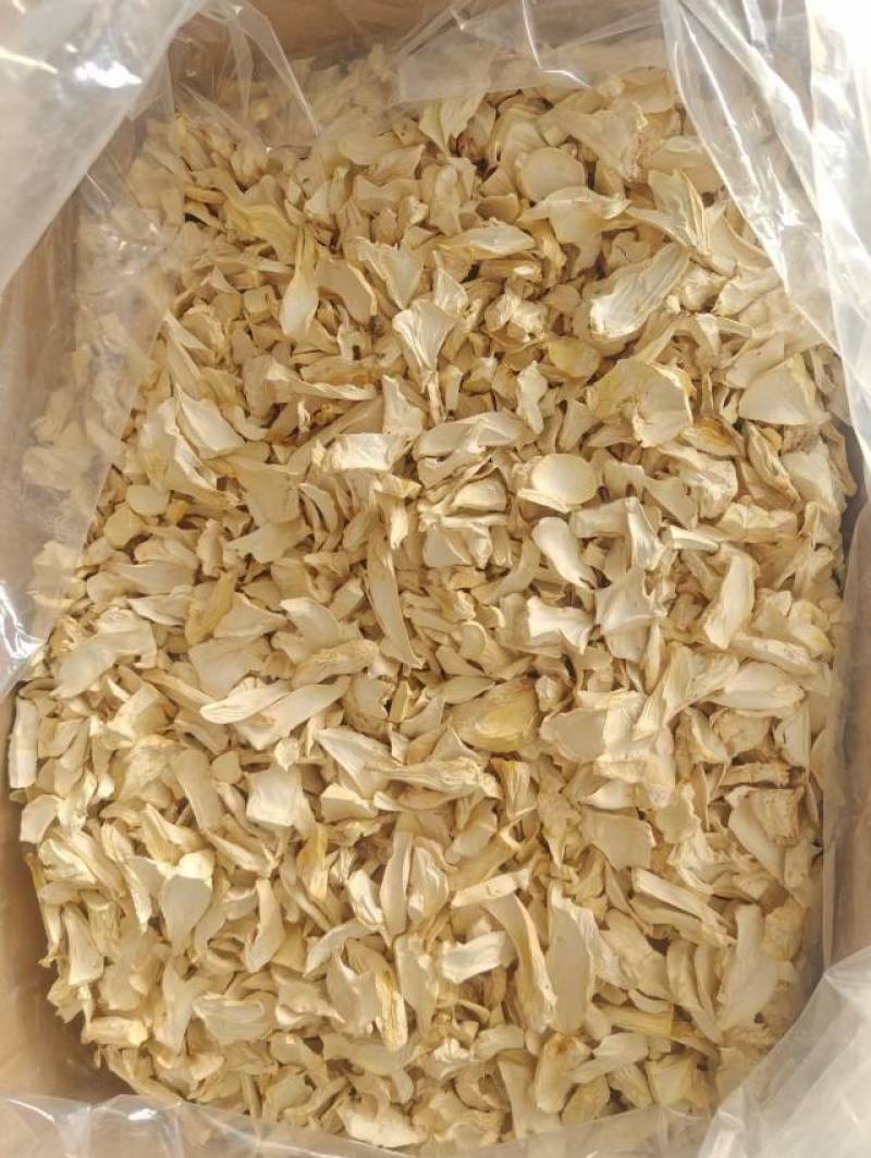 杏鲍菇片根片