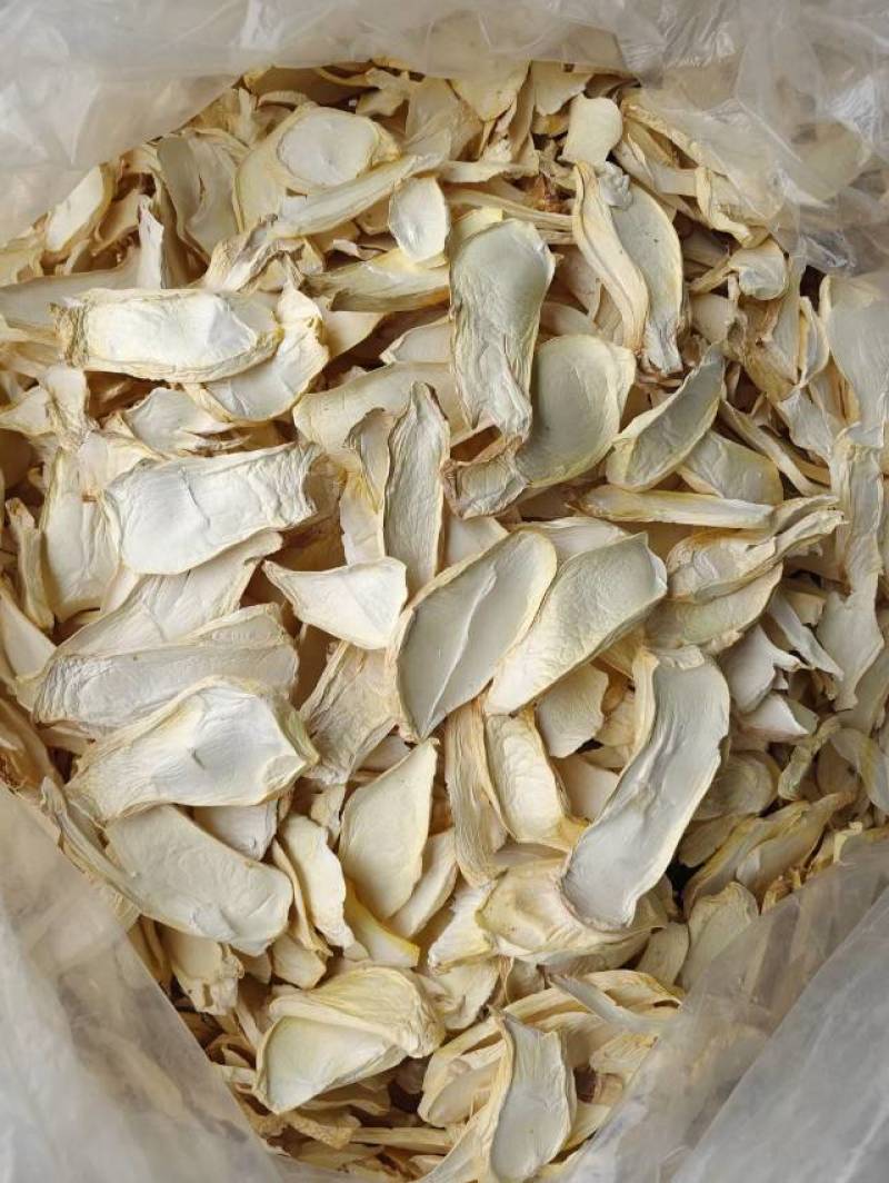 杏鲍菇片根片