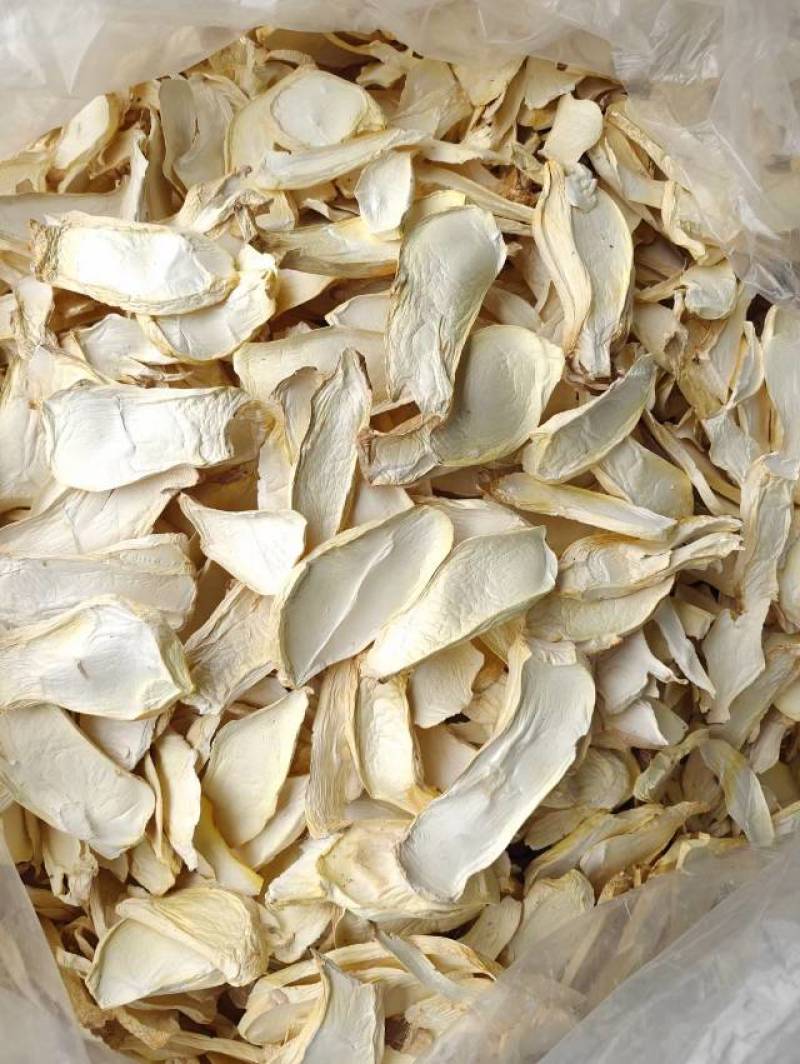 杏鲍菇片根片