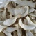 杏鲍菇片根片