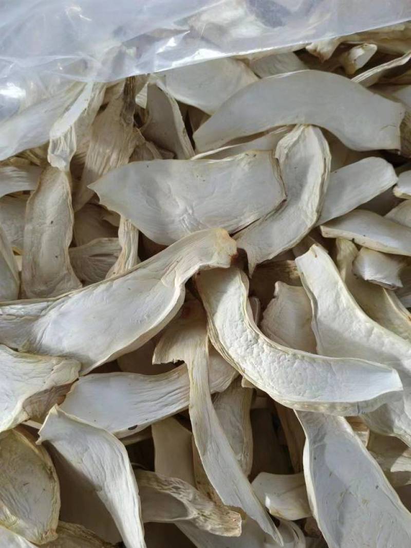 杏鲍菇片根片