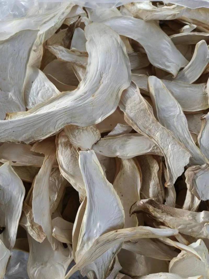 杏鲍菇片根片