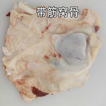 牛窝骨