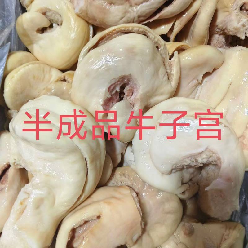 牛子宫，牛房子