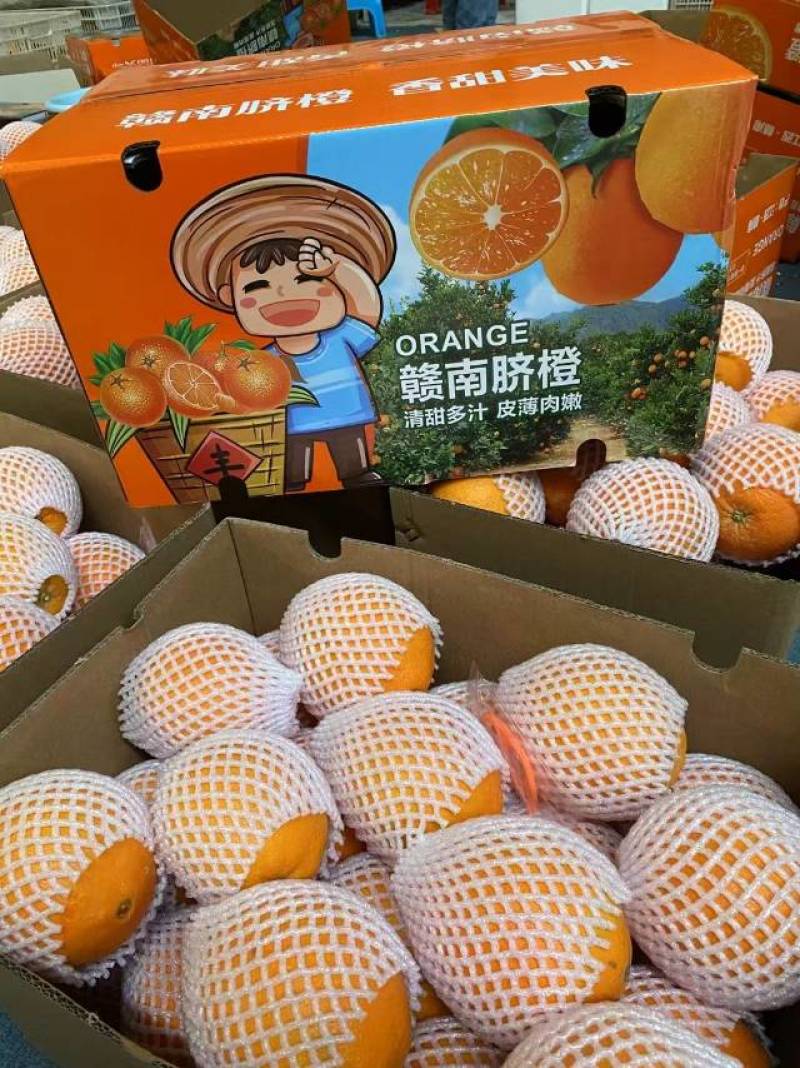 正宗赣南脐橙，原产地寻乌种植