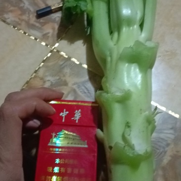 精品棒菜，按要求弄，需要怎么弄就这么弄，做工精致，