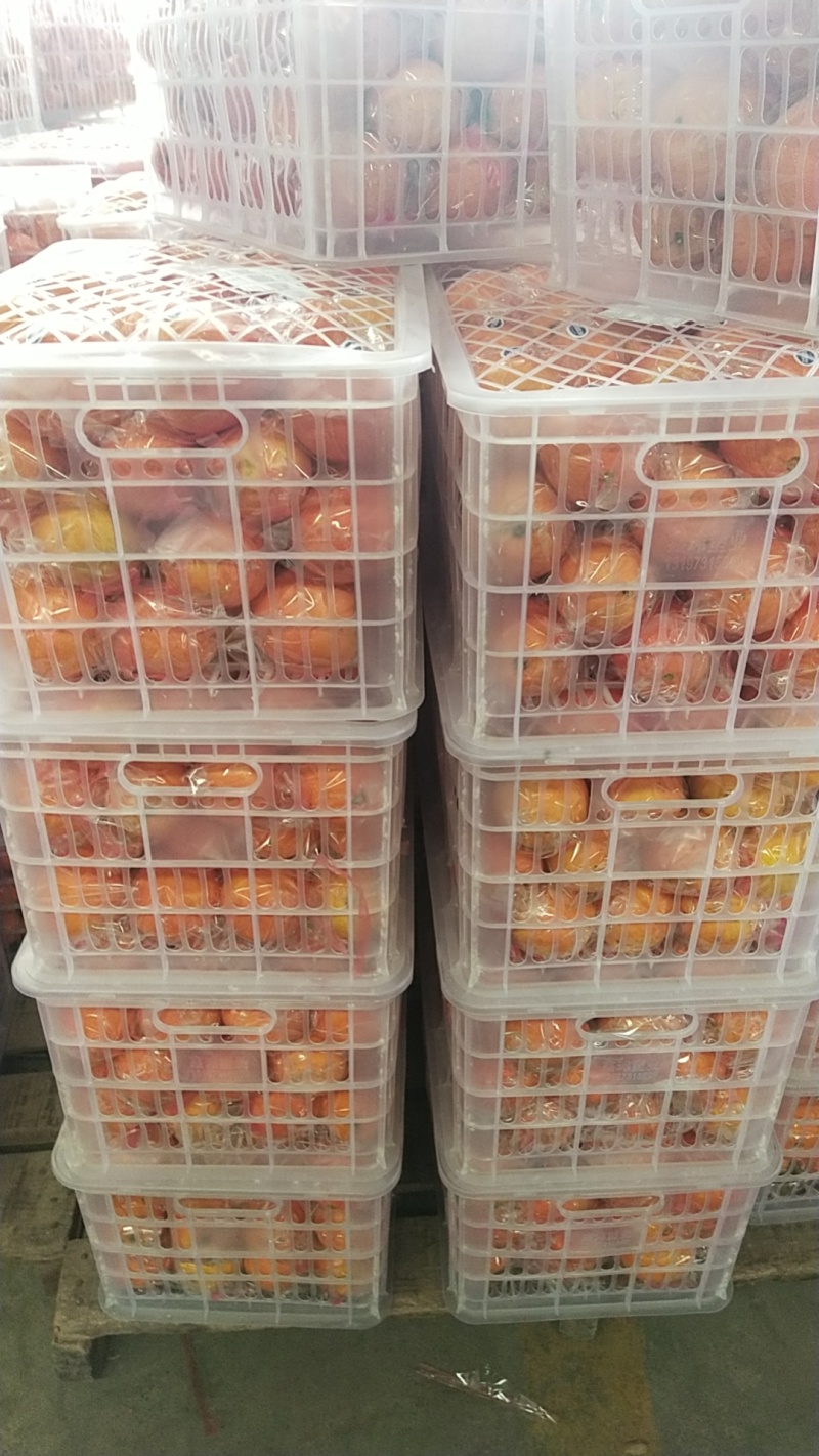 湖北枝江纯甜纽荷尔脐橙大量上市，口感甜水分好，包装齐全