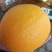 赣南早脐橙