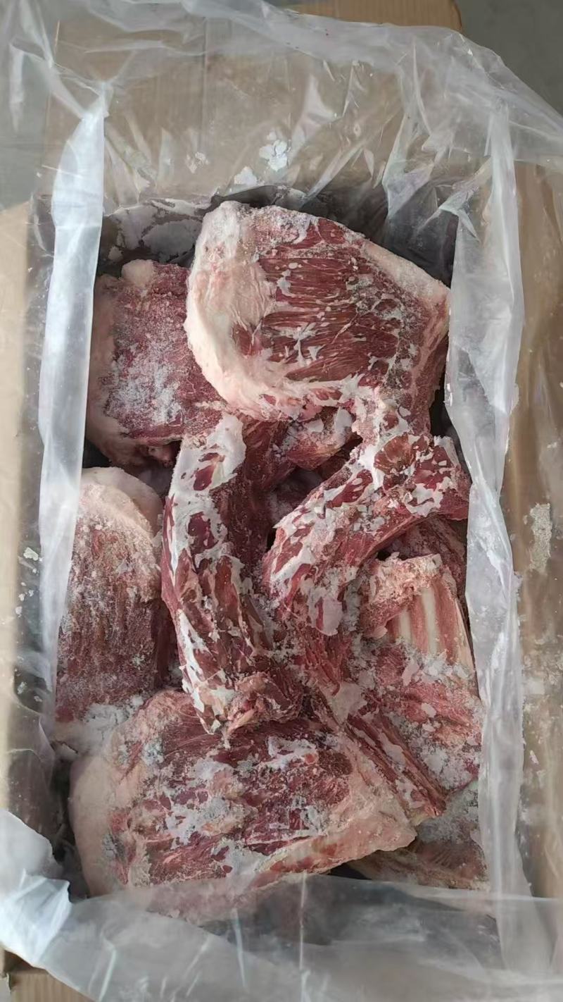 加肉羊方肩