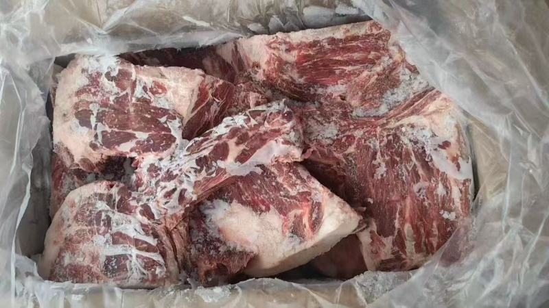 加肉羊方肩