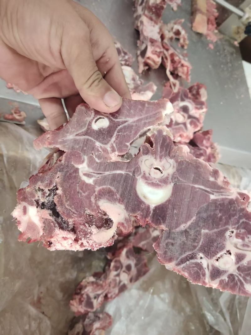 双威满肉羊蝎子
