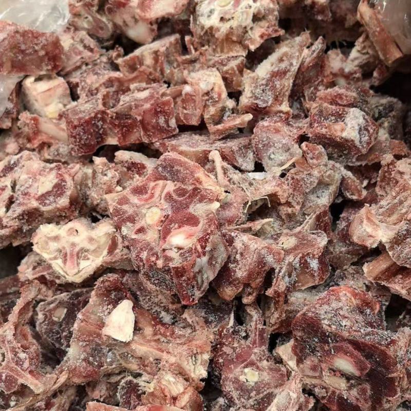 多肉羊蝎子