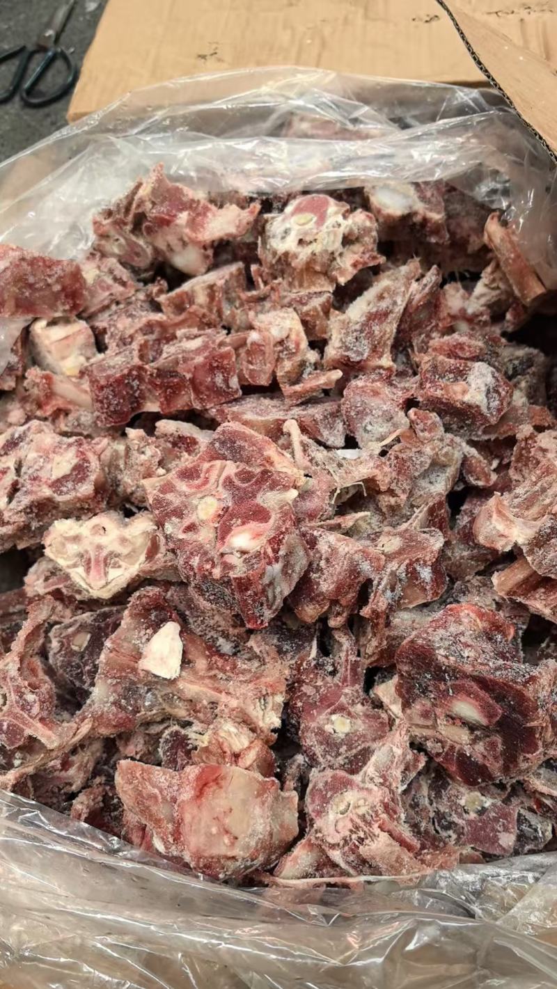 多肉羊蝎子