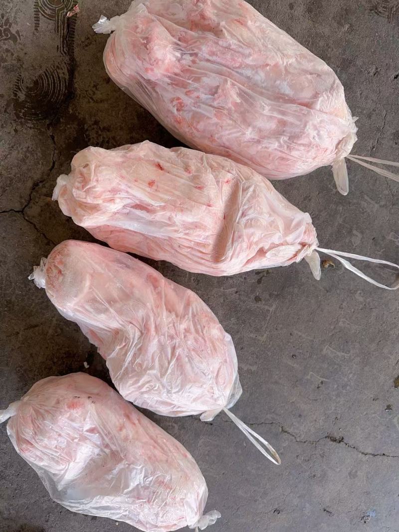 母猪吊挂板油
