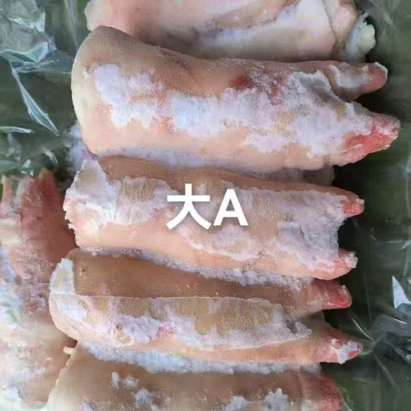 一级母猪蹄，11-14个