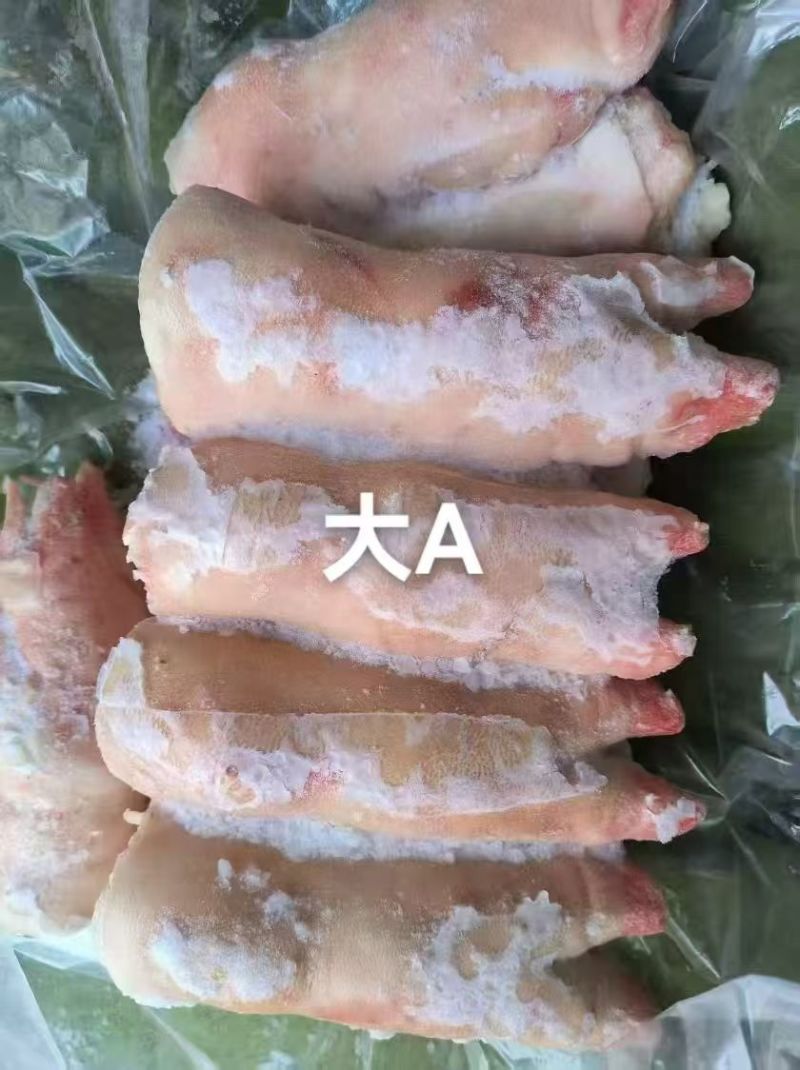 一级母猪蹄，11-14个