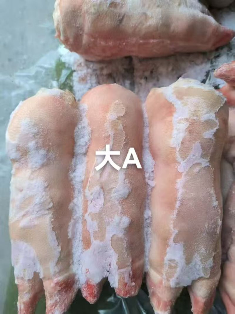 一级母猪蹄，11-14个