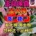 原包正品保真双国审大棒玉米种子大全抗虫抗病抗倒耐高温抗涝