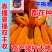 原包正品保真双国审大棒玉米种子大全抗虫抗病抗倒耐高温抗涝