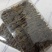 天龙中药材壁虎干壁虎粉守宫泡酒滋补