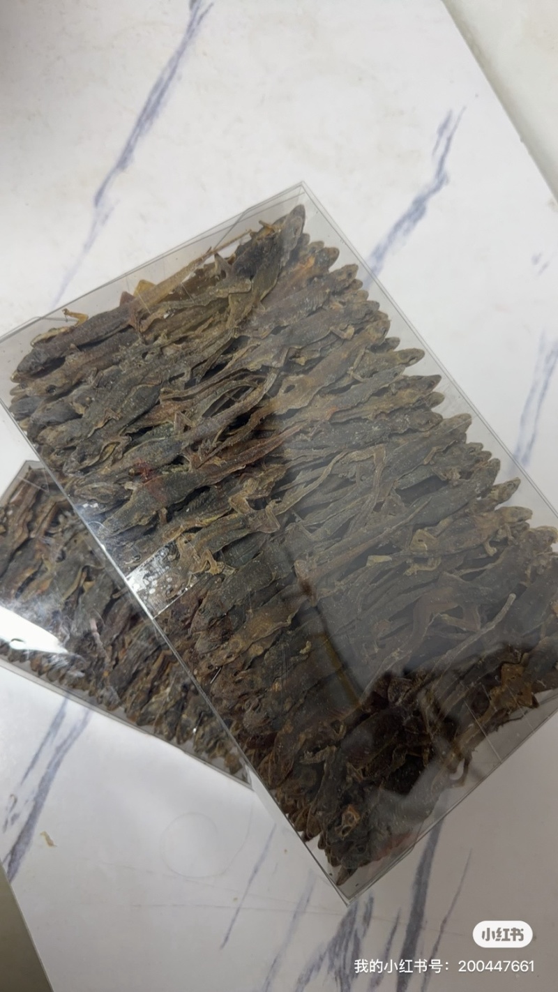 天龙中药材壁虎干壁虎粉守宫泡酒滋补