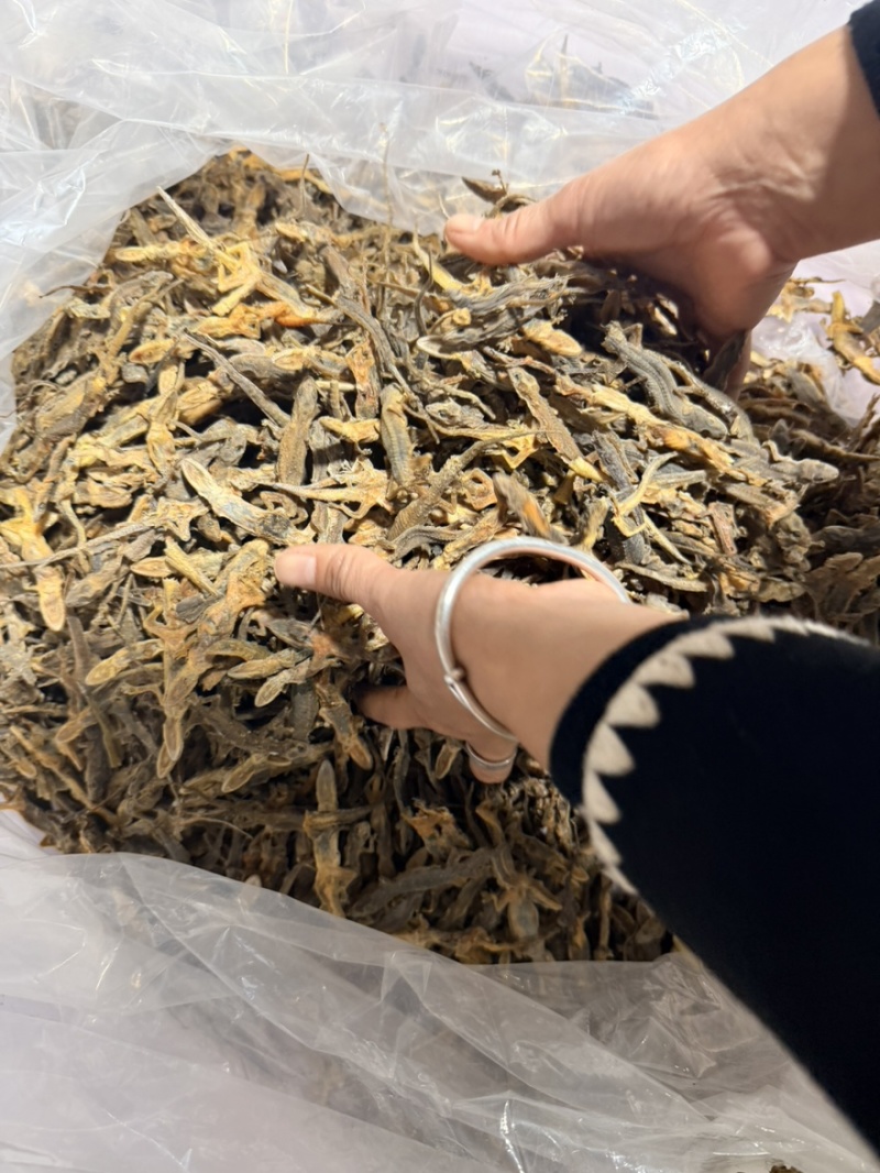 天龙中药材壁虎干壁虎粉守宫泡酒滋补