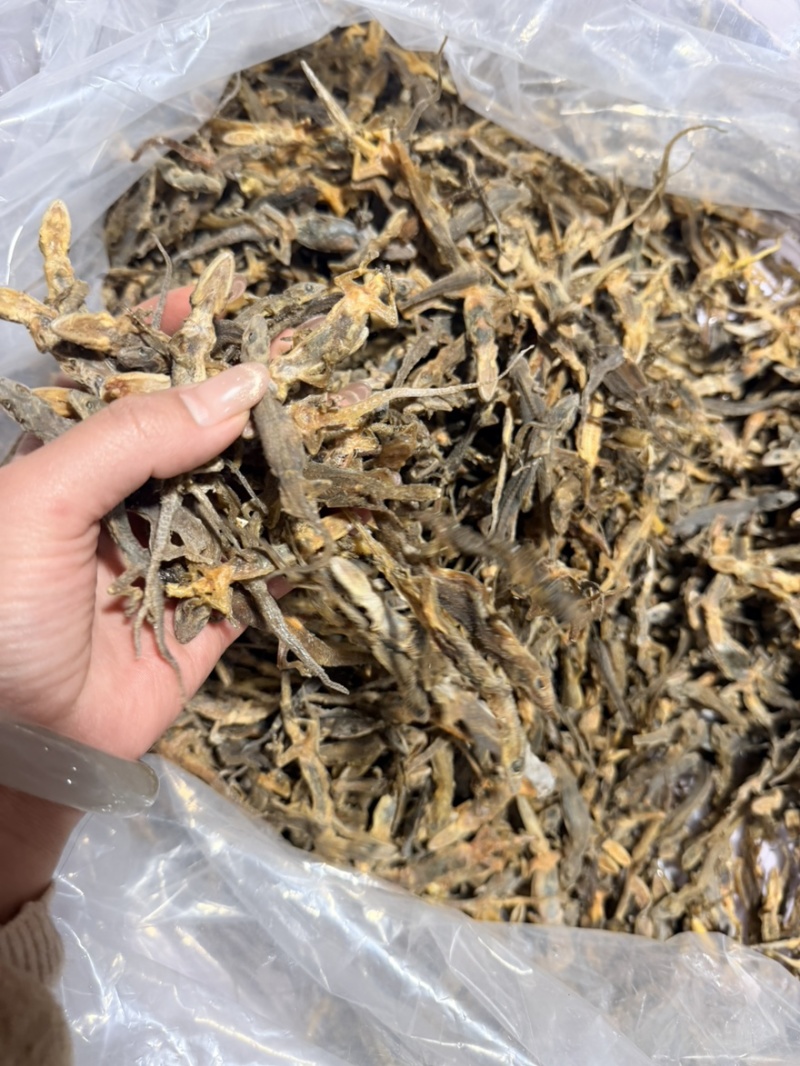 天龙中药材壁虎干壁虎粉守宫泡酒滋补