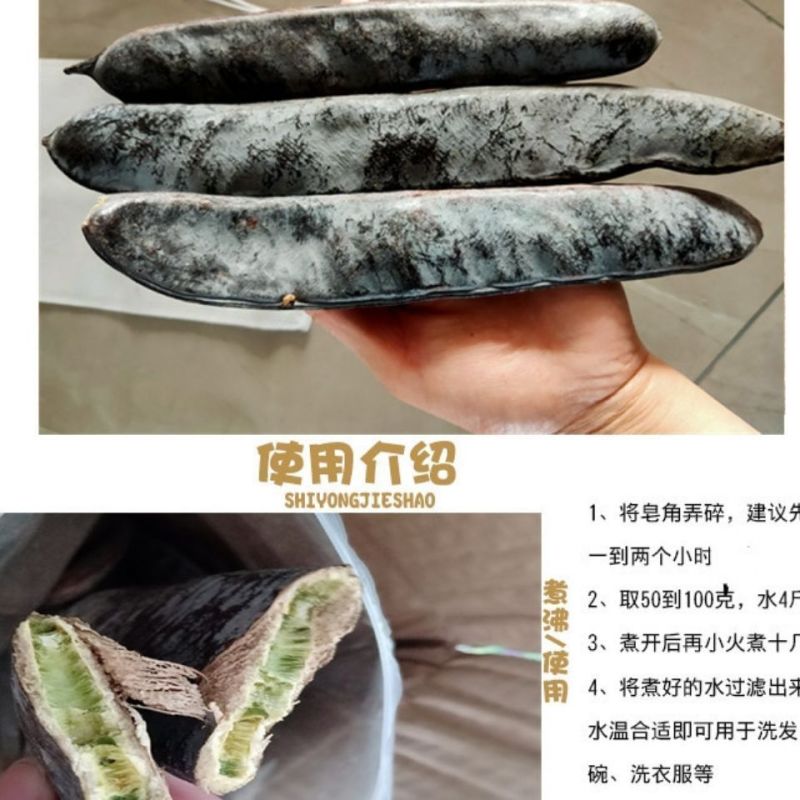 野生皂角大皂角长皂角皂荚野生天然洗发防脱皂角段片粉