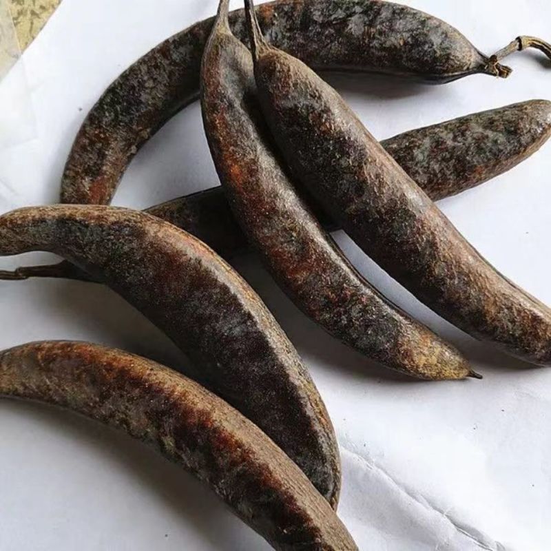 野生皂角大皂角长皂角皂荚野生天然洗发防脱皂角段片粉