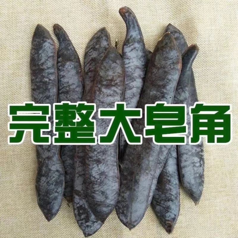 野生皂角大皂角长皂角皂荚野生天然洗发防脱皂角段片粉