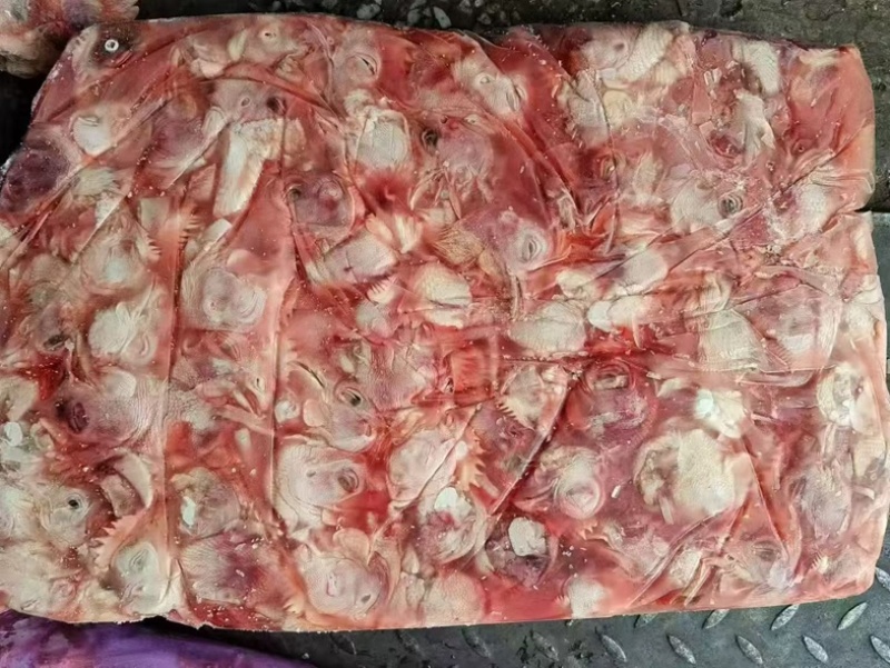 肉食鸡鸡头新货1550一吨工厂直发5吨发货