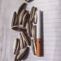 甜葵一号生货，一手货源，品质保证，可视频看货，诚信经