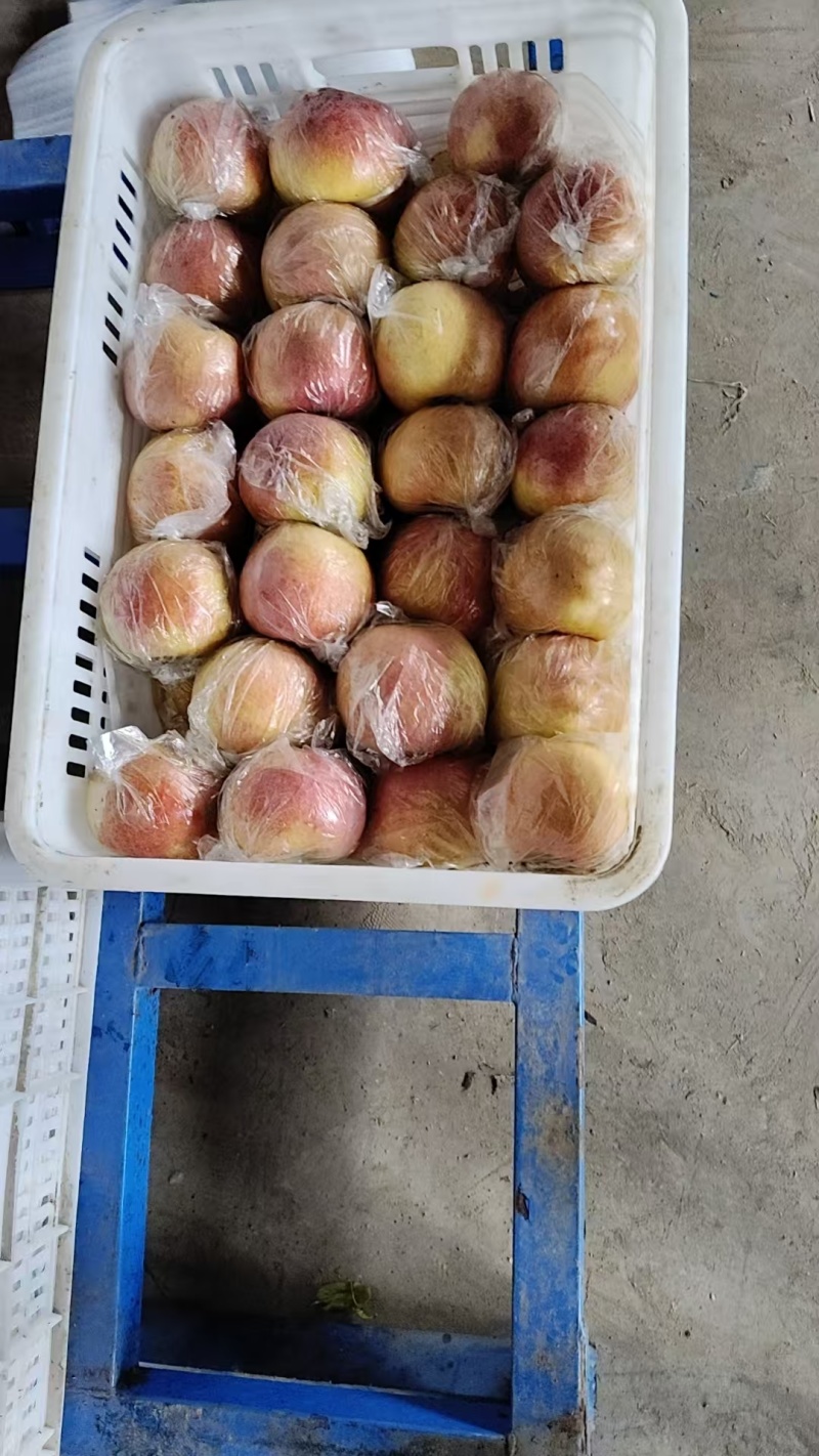 爱妃苹果河北衡水武邑自家园区生产，保证自产自销，基地发货