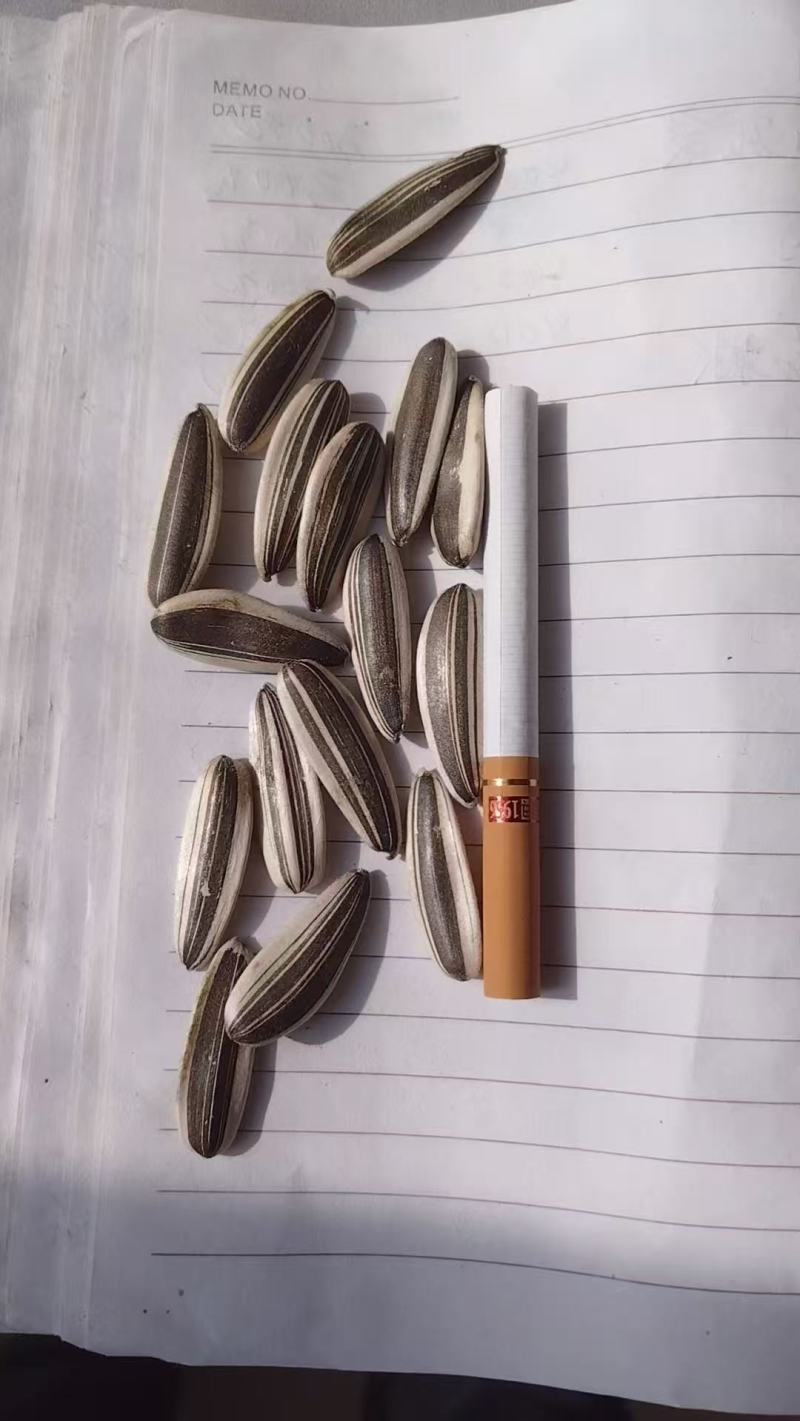 甜葵一号生货，一手货源，品质保证，可视频看货，诚信经